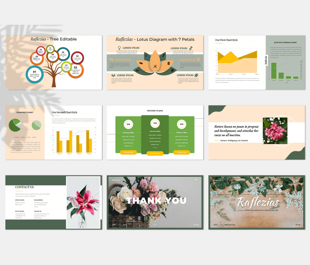 Raflezias – Creative Business PowerPoint Template