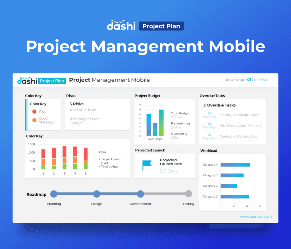 dashi Project Plan Dashboard Report Presentation