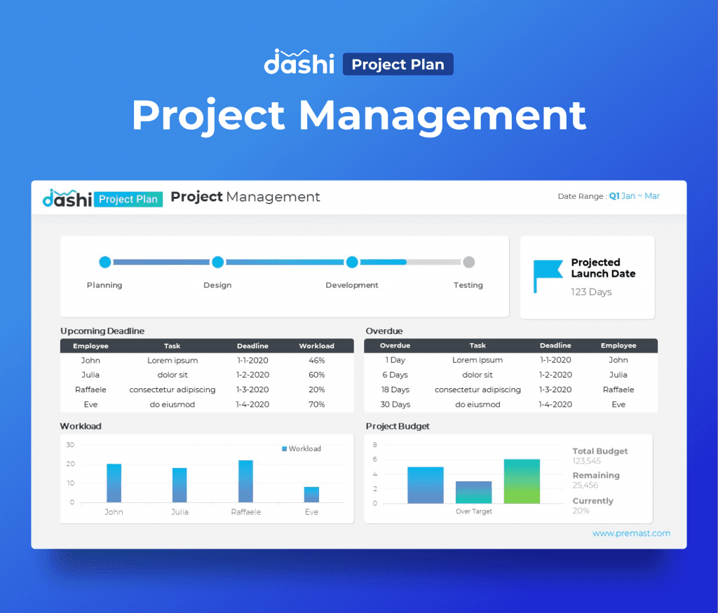 dashi Project Plan Dashboard Report Presentation