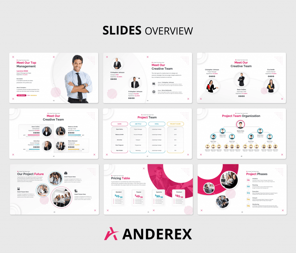 Anderex - Project Timeline PowerPoint Presentation Template