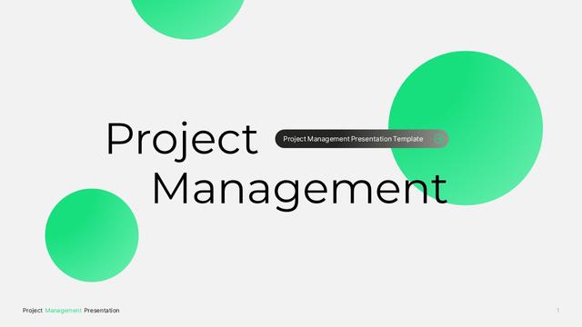 Project Management PPTX