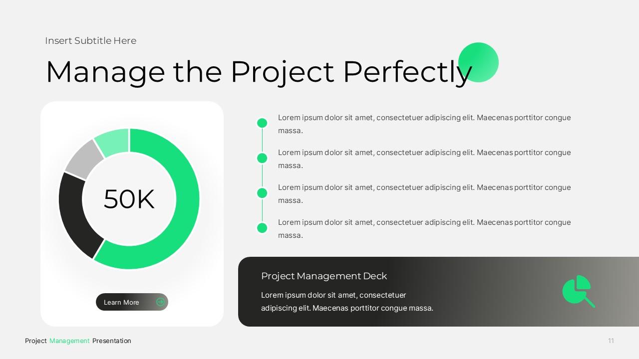 Project Management PPTX