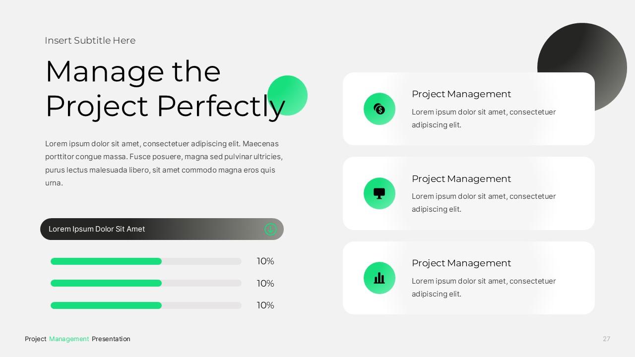 Project Management PPTX