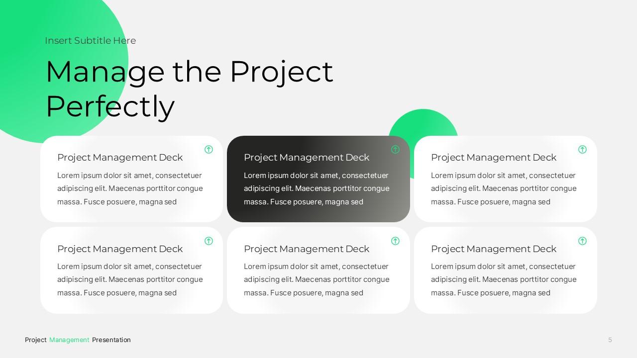 Project Management PPTX