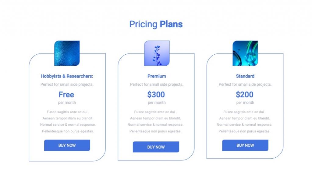 PicePro-Pricing Plans PowerPoint Template